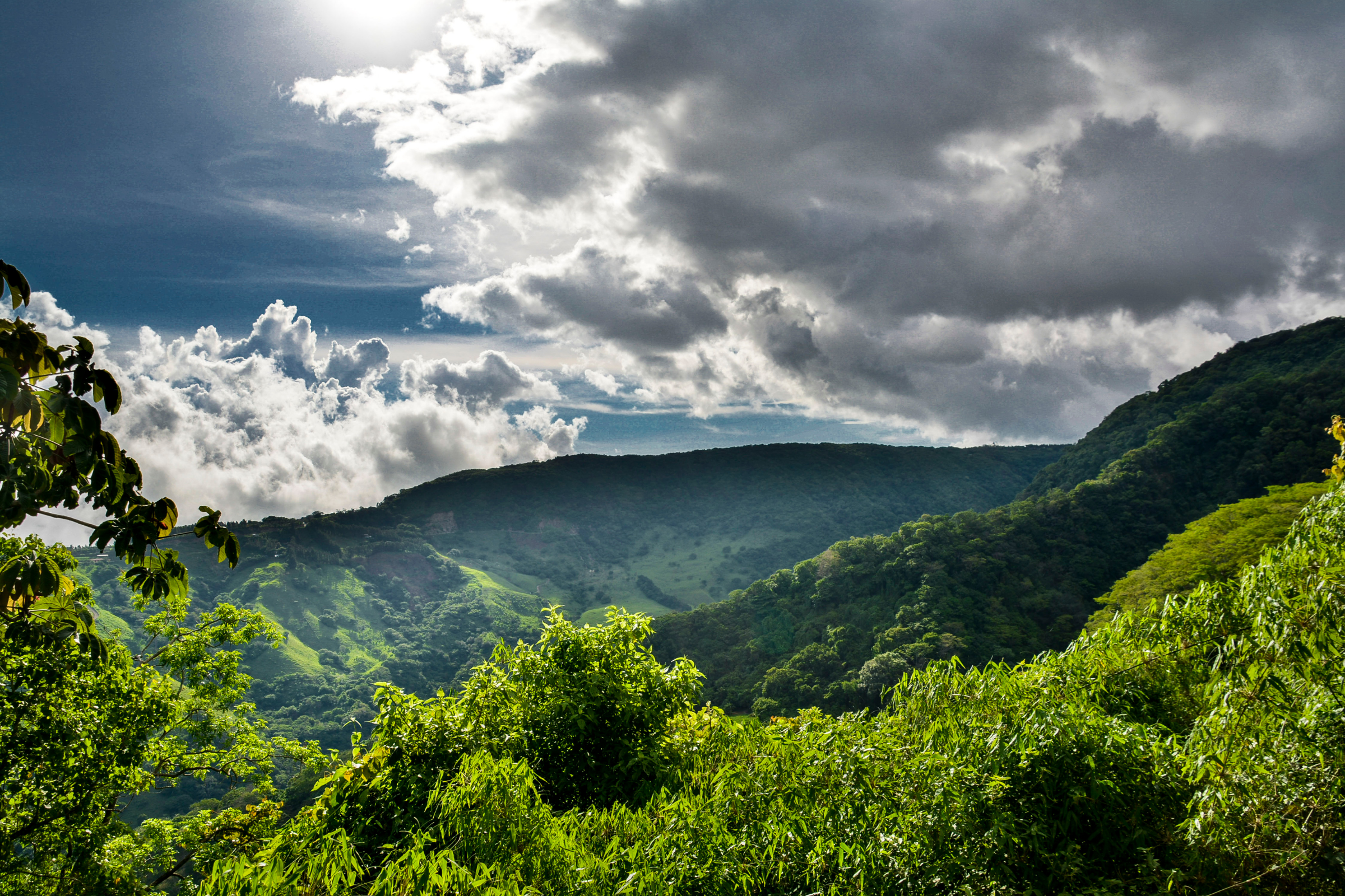 monteverde cloud forest biological preserve (3).webp